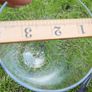 Vintage Handmade Clear Circular Glass Display Cloche Bell Dome With Black Base (dimensions visible in the photos) 50 each Image 10