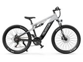 DUOTTS E29 Electric Bike