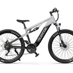DUOTTS E29 Electric Bike
