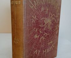 Harry Furniss at Home by Harry Furniss (HQ264)