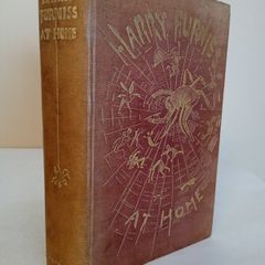 Harry Furniss at Home by Harry Furniss (HQ264)