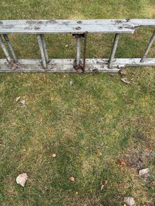 ladder