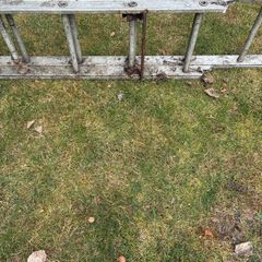 ladder