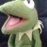 Miss Kermie
