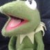 Miss Kermie