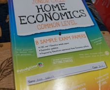 Educate.ie Junior Cycle Home Economics Common Level Exam Papers 2022