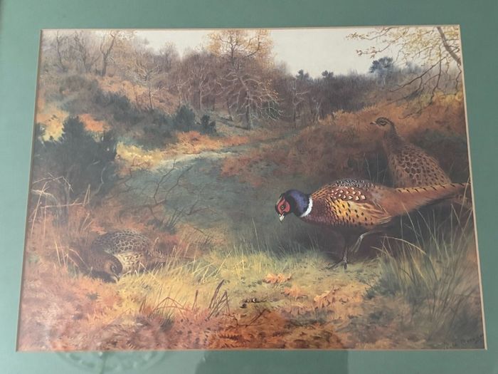 Framed Art Print - Pheasants in Autumn Woodland after Archibald Thorburn