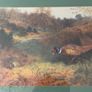Framed Art Print - Pheasants in Autumn Woodland after Archibald Thorburn Image 2