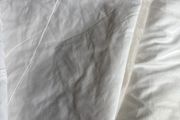 Free single mattress protector