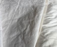 Free single mattress protector