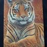 3D LiveLife Lenticular Wall Art Prints - Aloof From Deluxe Base - Unframed 3D Tiger - Size - 40cm x 30cm - RRP - 18.99 Image 10