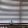 Venetian Blinds Image 5