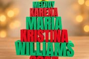 Personalised Family Names Christmas Tree 3D