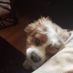 Clodagh31