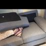 two seater coach Image 5
