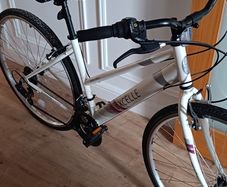 17 inch Bike