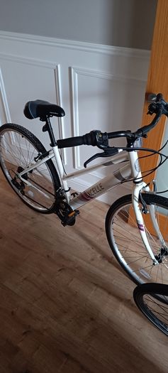 17 inch Bike