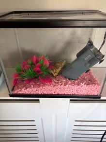 fish tank