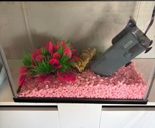 fish tank