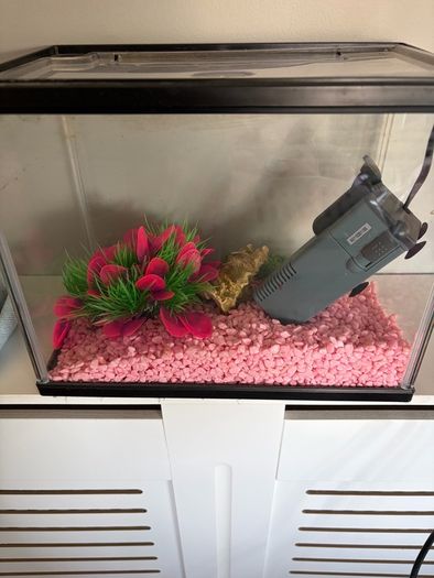 fish tank