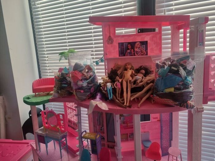 Barbie Bundle & storage box