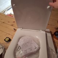 toilet seat