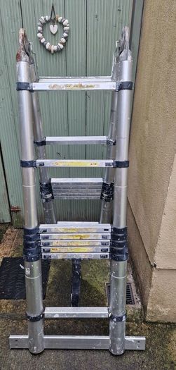 Telescopic Ladder