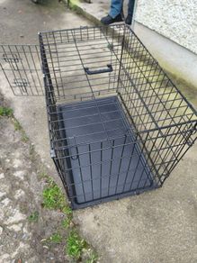 pet