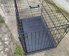 pet