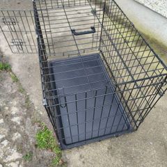 pet