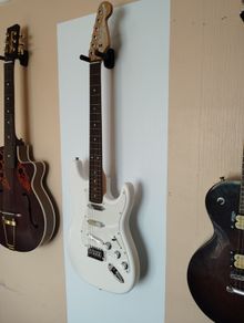 Custom built strat