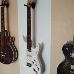 Custom built strat