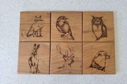 Caulfields Coaster set of 6