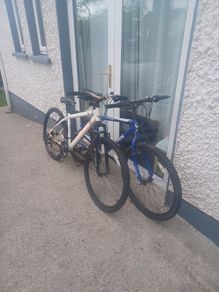 bikes