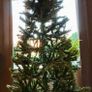 6ft Slim Christmas Tree Image 5