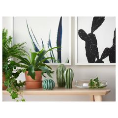 Decoration Set of 3 Green Ceramic Cacti
