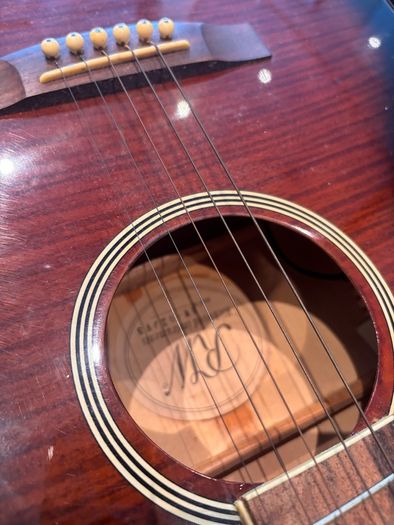 Richwood Artist Series electro-acoustic guitar and case