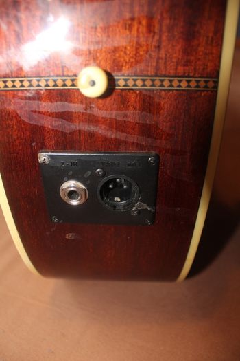 Washburn D10SCE Cutaway Acoustic Guitar