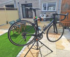 specialised allez