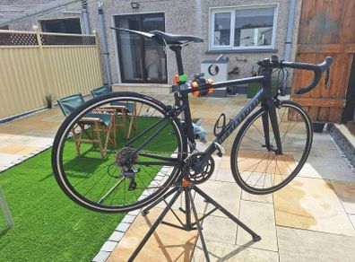 specialised allez