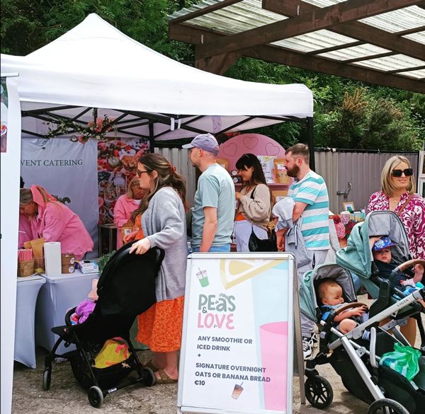 Pop Up Gazebo Steel 40mm 3m x 3m PopUp Canopy