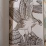 Therapeutic Colouring Books x 2 Image 8