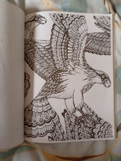 Therapeutic Colouring Books x 2