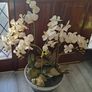Artificial orchid plant in stone bowl Image 6