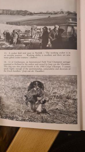 The Working Spaniel. By Keith Erlandson. FIRST EDITION. How To Choose. Train. Work. And Trial Your Dog. Hardback With Dustjacket In Good Condition.