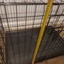 dog cage Image 4