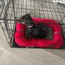 dog crate,&bed for sale Image 5