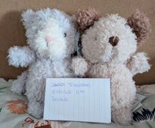 Jellycat Little Pup and Little Kitten BNWT