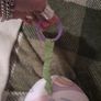care bear baby ball toy Image 4