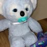 Koala Plush Toy Image 2